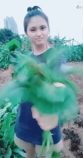 甜蜜未来乐在心怀主播照片