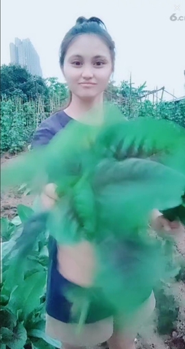 甜蜜未来乐在心怀主播照片
