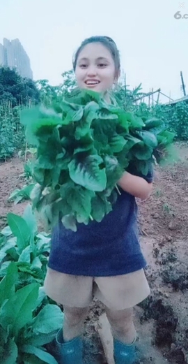 甜蜜未来乐在心怀主播照片