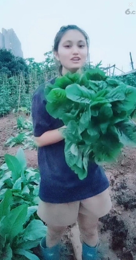 甜蜜未来乐在心怀主播照片