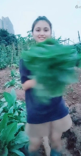 甜蜜未来乐在心怀主播照片