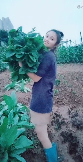 甜蜜未来乐在心怀主播照片