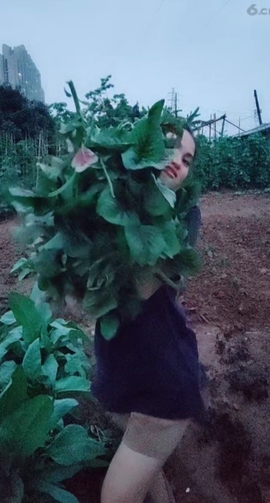 甜蜜未来乐在心怀主播照片