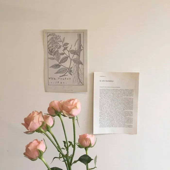 陌❤️主播照片
