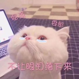 小甜贪财好色💕的图片