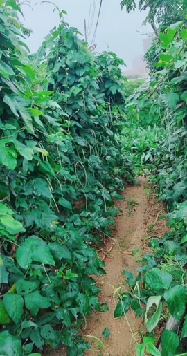 甜蜜未来乐在心怀主播照片