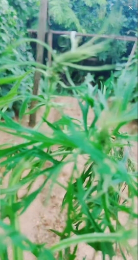 甜蜜未来乐在心怀主播照片