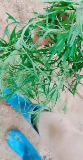 甜蜜未来乐在心怀主播照片