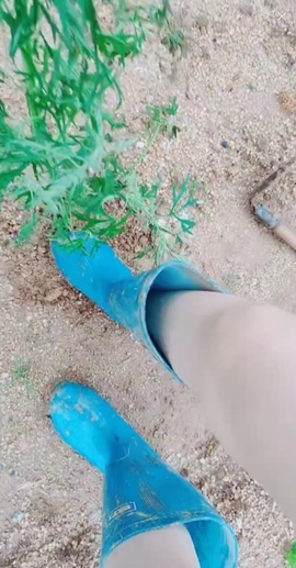 甜蜜未来乐在心怀主播照片