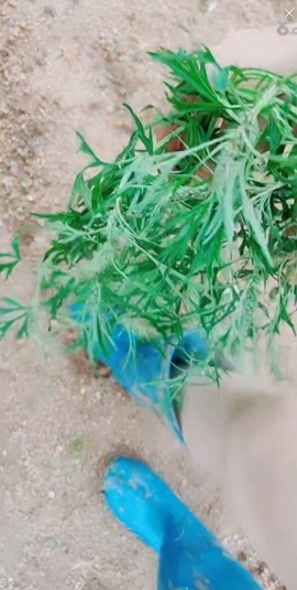 甜蜜未来乐在心怀主播照片
