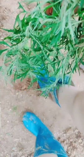 甜蜜未来乐在心怀主播照片