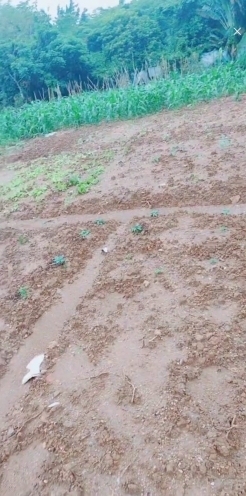 甜蜜未来乐在心怀主播照片