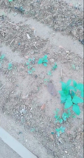 甜蜜未来乐在心怀主播照片