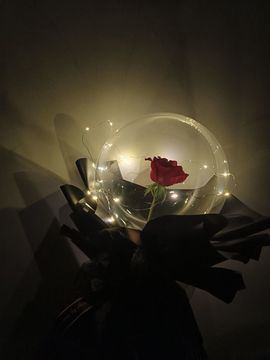 茶茶幸运星主播照片