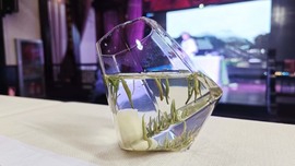 茶茶幸运星主播照片