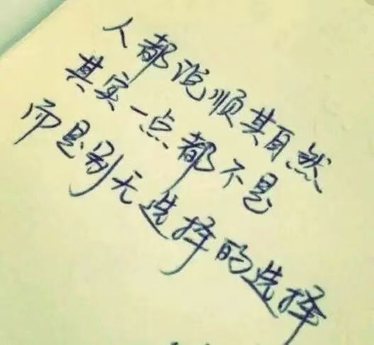 安琪同学的图片