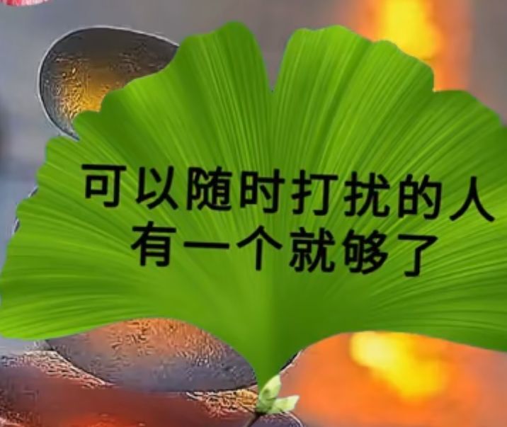 丑小鸭💞愿有一束光的图片