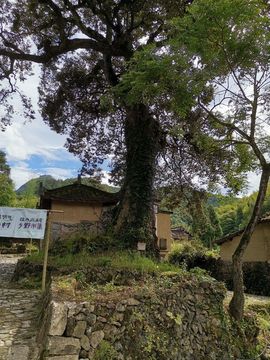 小谢农村田园生活主播照片