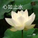 花开富贵🌹🌹🌹