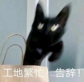 阳阳💕晚上见主播照片