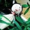 平淡最美g的头像