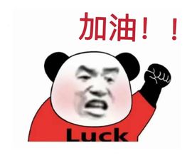阳阳💕晚上见主播照片
