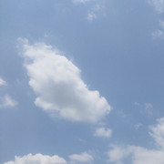 為伴🎵听歌的头像