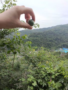 安琪同学主播照片
