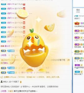 太阳女神💕💕主播照片