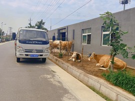 小雅代理ღ招财吖主播照片