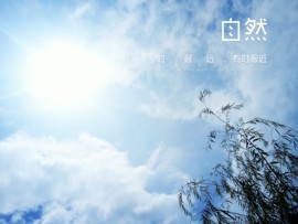 唔～飞机的图片