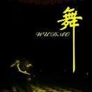 飞亚迪广告