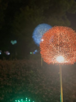 䒕麻花6月好运主播照片