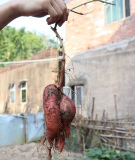 大掌柜💕暂休主播照片