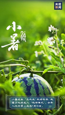 超持久“桑拿天”来了主播照片
