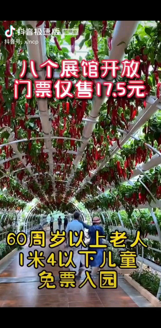 走吧出发/狂笑