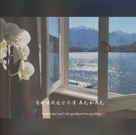 🌸梦歆🌸风宵哥哥的图片