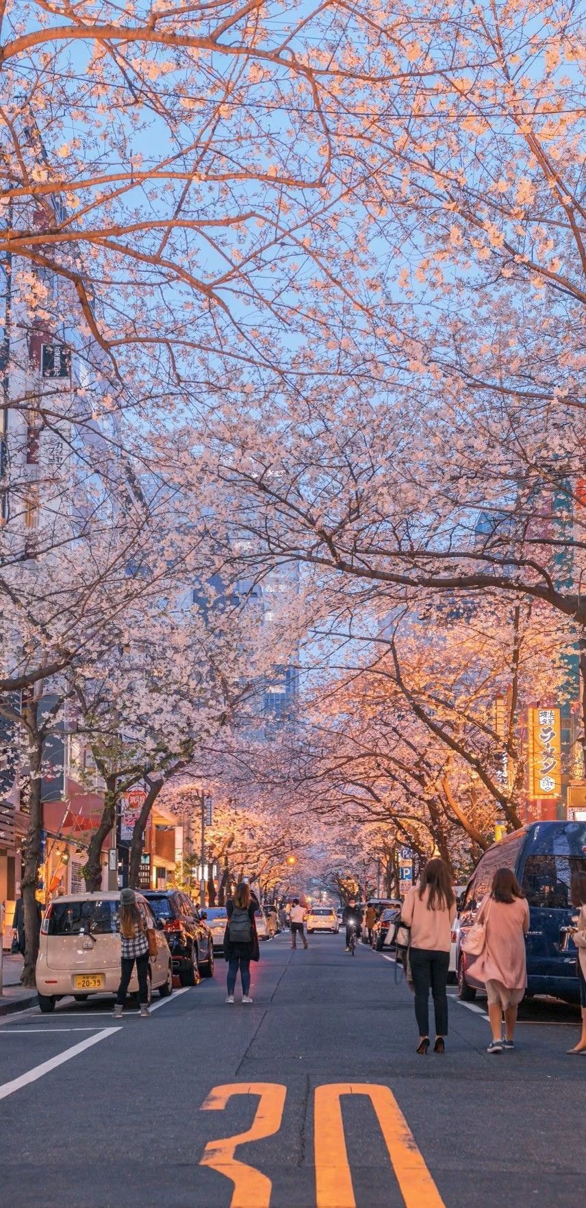 萌新宝宝Myand的主播照片