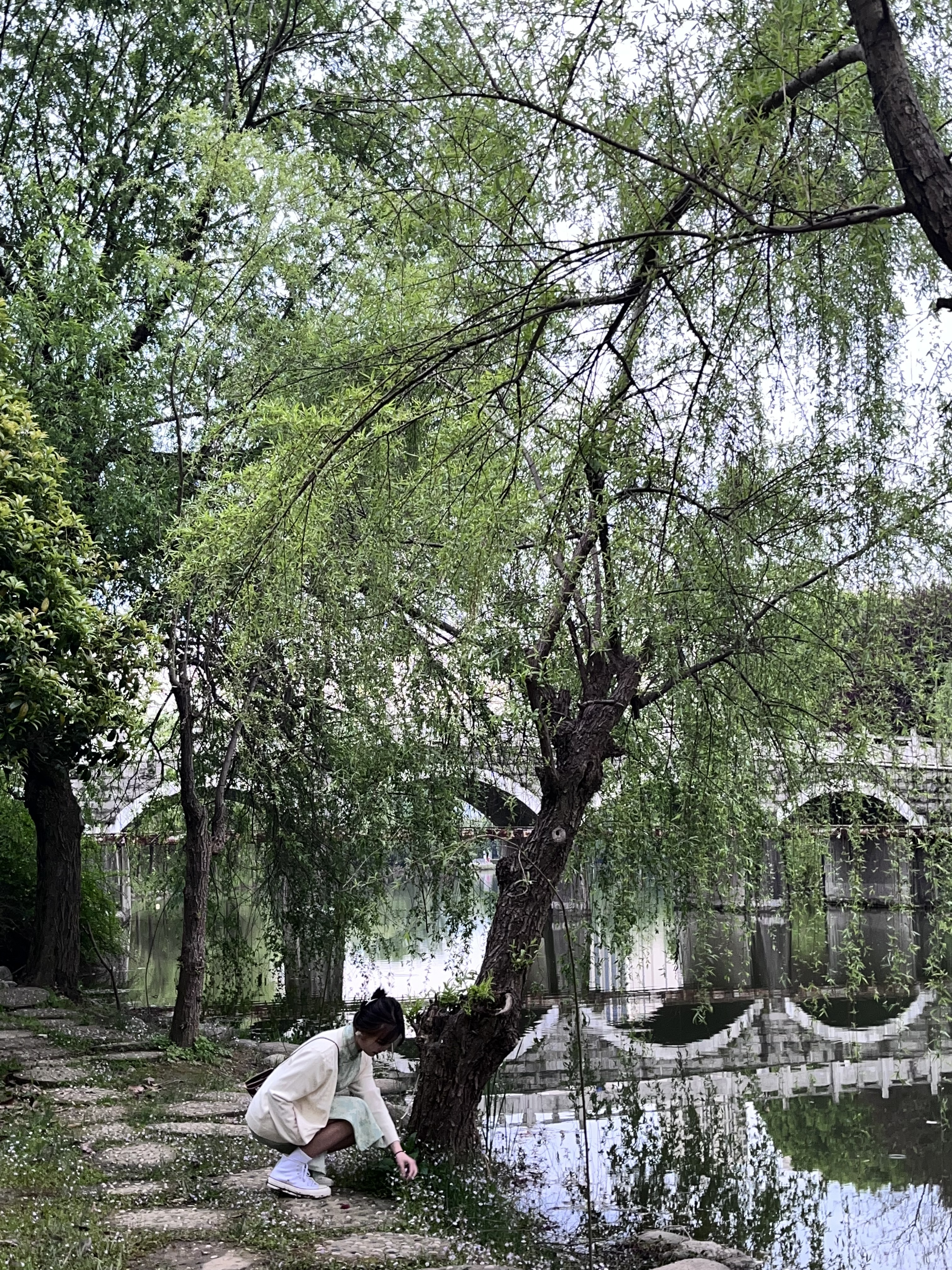苞米朱古力的图片