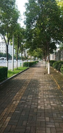 果果(平安好运)主播照片