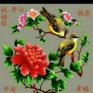 好人一生平安3o1