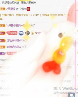 💓小香猪💓主播照片