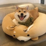 烟味太重了海报