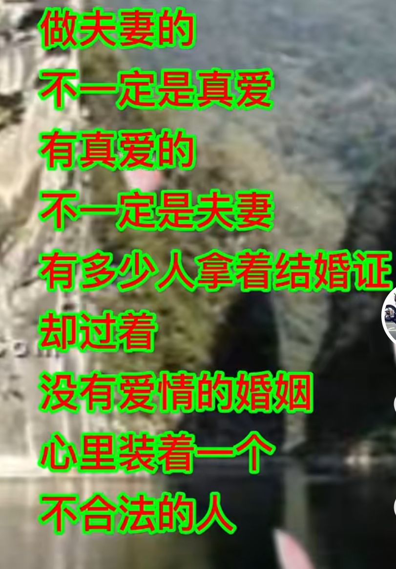 丑小鸭💞愿有一束光的图片