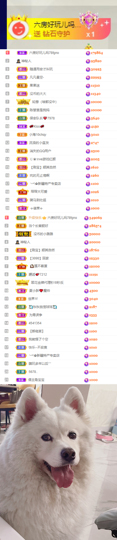陈慧慧🥕早9晚8的图片