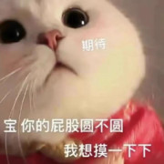 骑猪追羊