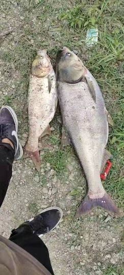 👉印第安老斑鸠👈主播照片