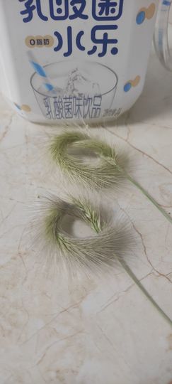♥玉颜❤️主播照片