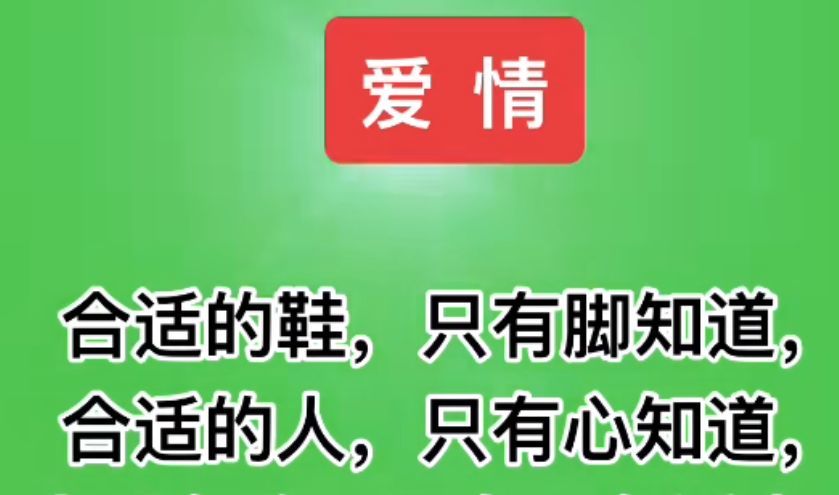 丑小鸭💞愿有一束光的图片