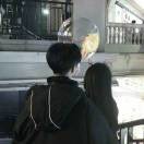 .qkmc的头像